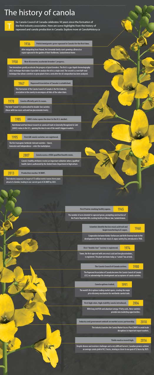Infographic: The History Of Canola