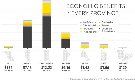While the greatest economic benefit is in the Prairies, canola also has a significant impact on the economies of Ontario, Quebec, British Columbia and the Maritime provinces.