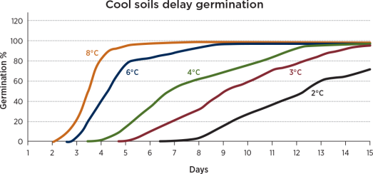 Cool soils delay germination