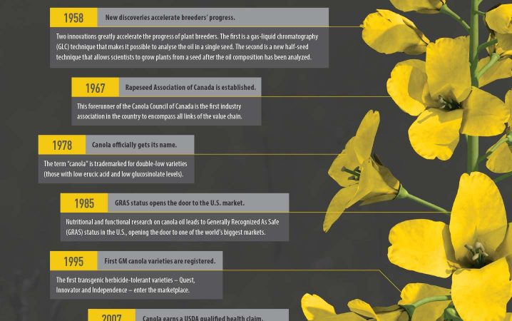 The History Of Canola – Canola Digest