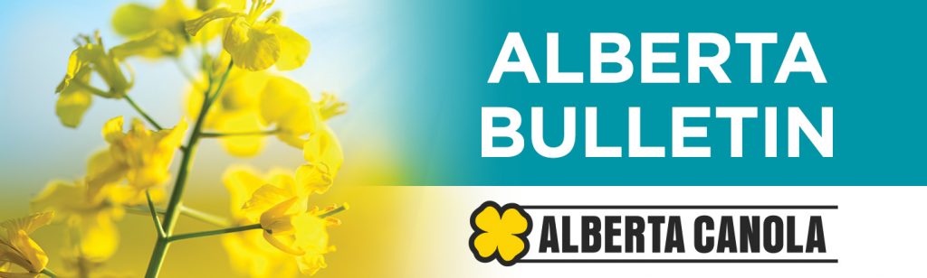 Alberta Bulletin – Canola Digest