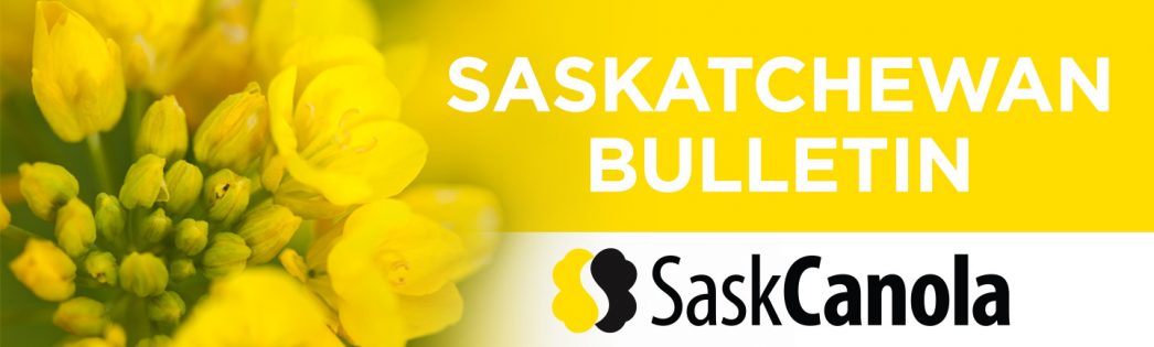 Saskatchewan Bulletin – Canola Digest