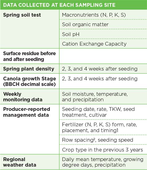 Cultivar the major management factor for canola emergence rate – Canola ...