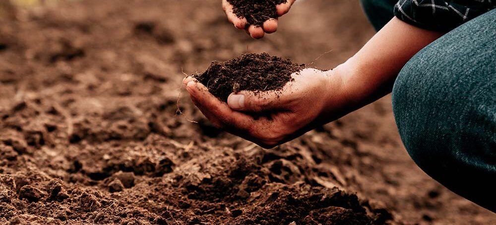 A person crouches near freshly tilled soil. They are sifting through a handful of brown dirt.