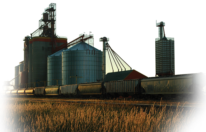 A grain mill with rail cars and grain in front of it.