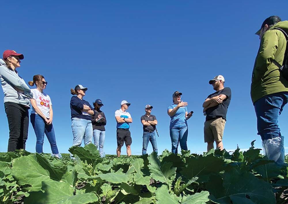 A woman stands talking with a group of adults in a field. The photo is taken from a worm's eye view right above a plant, looking upwards at the group.