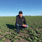 Russel Pauls crouches smiling in a field of canola plants.