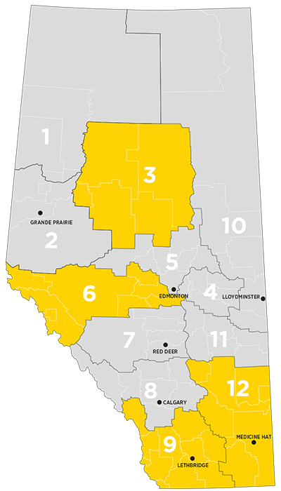 A map of Alberta that delineates the 12 alberta canola areas. The Alberta Canola director nomination cycle is now open for regions 3, 6, 9, and 12 until October 31, 2024.