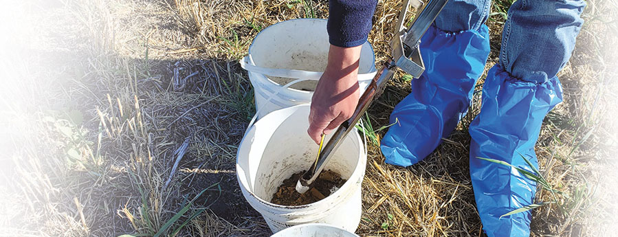 soil sampling being performed in buckets in a field.