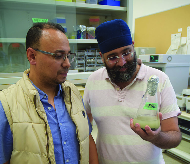 Harmeet Chawla and Mohamed Youssef together in a science lab. Harmeet holds a beaker that has the label PDB on it.