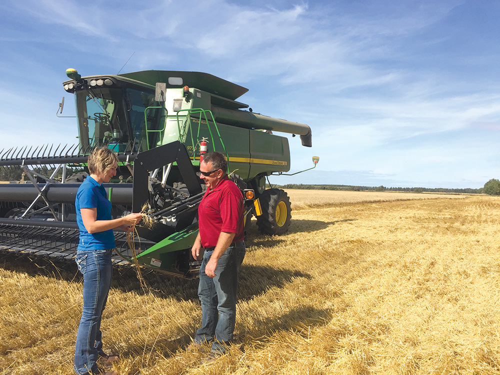 Kara Anna, an agronomist, inspects wheat in a field with a combine in the background.